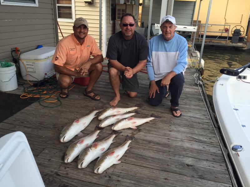 Lake Ray Hubbard Crew Invades Venice Louisiana Part Duece - Texas Fishing Forum