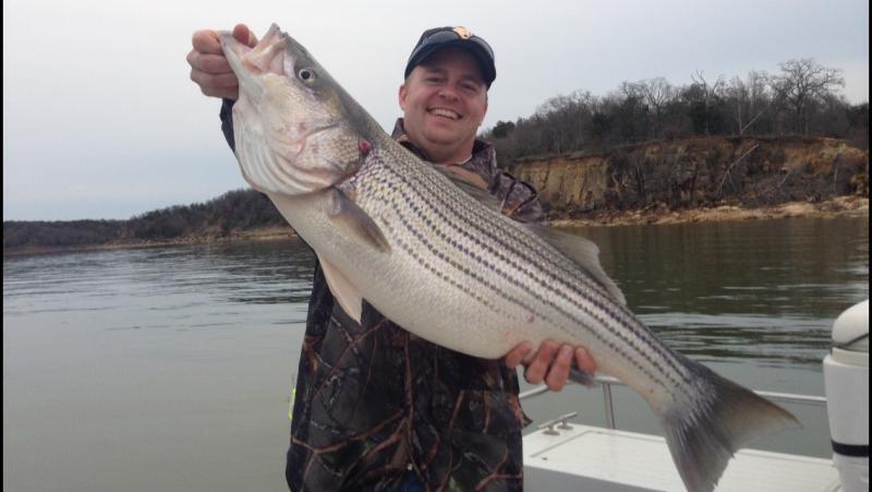 Weekend recap. Lake Texoma. Big fish are biting. - Texas Fishing Forum