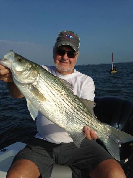 Lake Ray Hubbard Sunday - Texas Fishing Forum