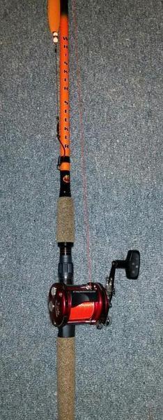 whisker seeker rod and reel