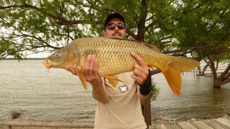 Lake Lewisville carp fishing?? My first time!! Texas