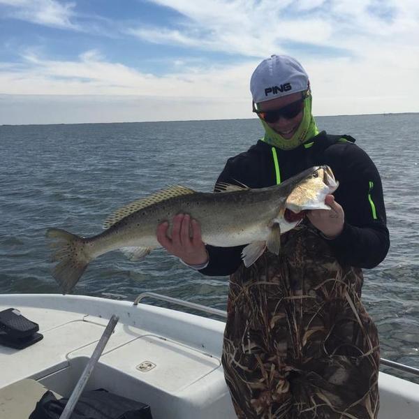 Bass Lures and Speckled Trout - Texas Fishing Forum
