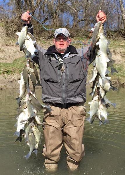 White Bass on the Nueces River at George West - Texas Fishing Forum