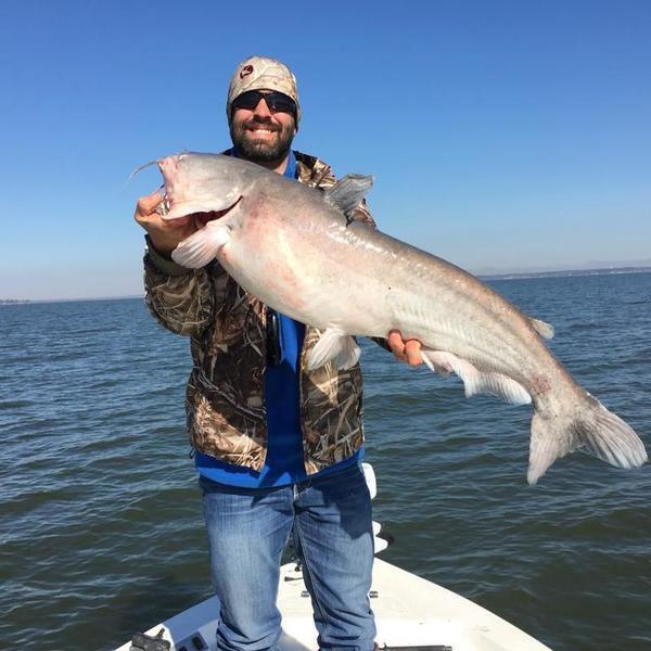 Lake Livingston produces again! - Texas Fishing Forum