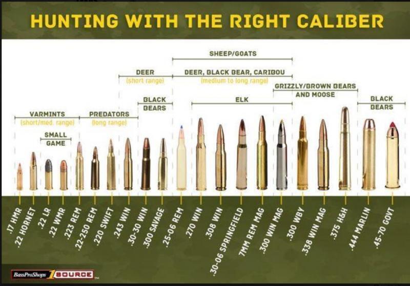 Varmint Calibers Chart