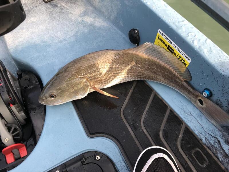 Ranger @ Mariners 9/30 Game 161 - Texas Fishing Forum