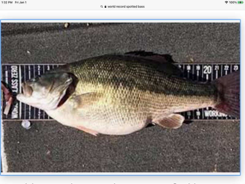 fishing planet spotted bass texas