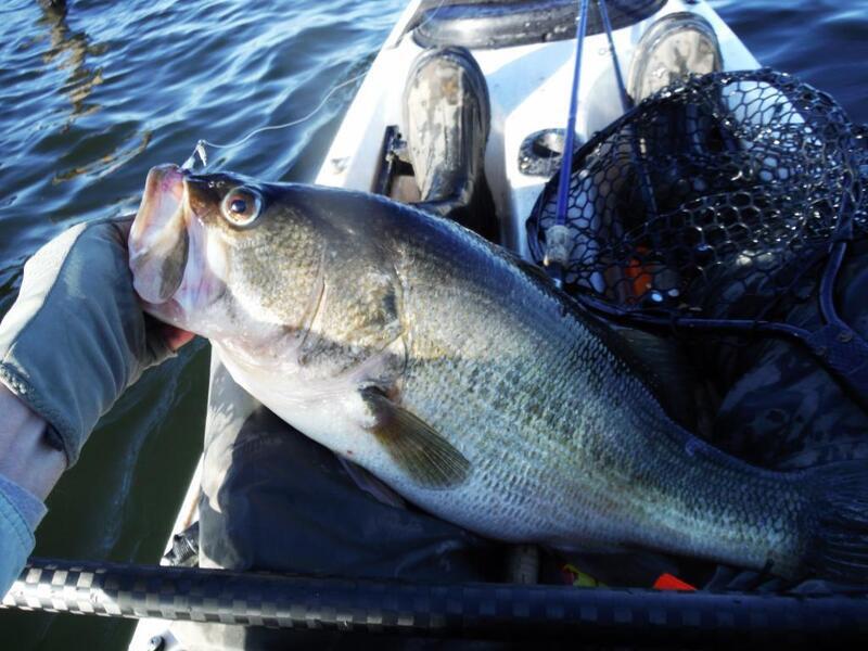 texas lake best bait fishing planet