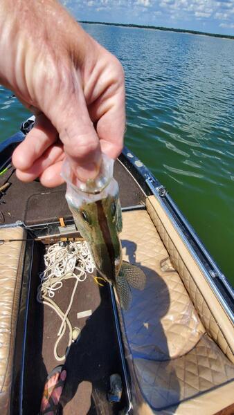 Grapevine Lake - Texas Fishing Forum