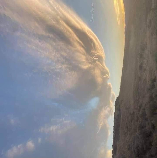 [Linked Image]