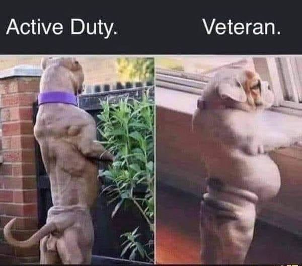 [Linked Image]